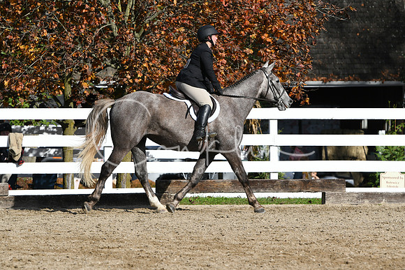 HSM_1863