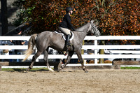 HSM_1862