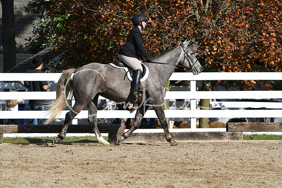 HSM_1862