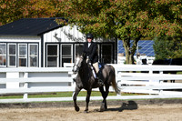 HSM_1901