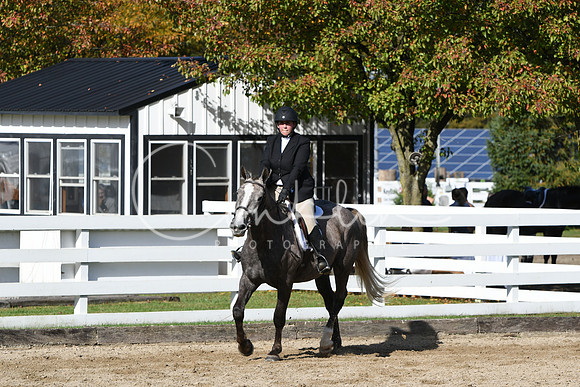 HSM_1901