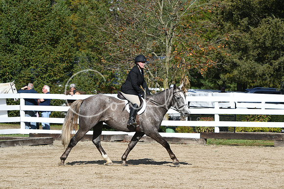 HSM_1909