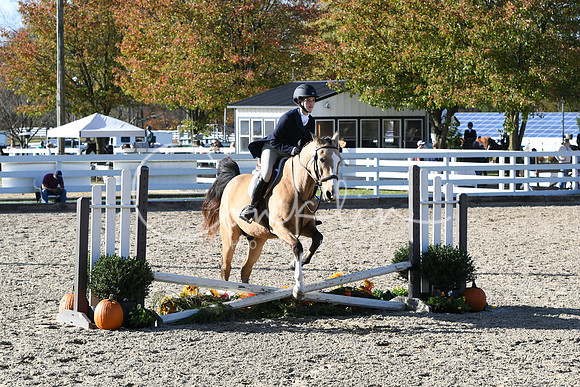 HSM_2809