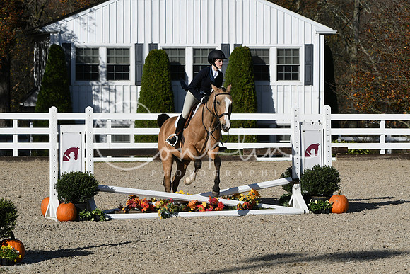 HSM_2817