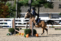 HSM_2818