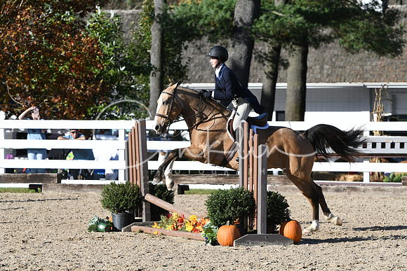 HSM_2819