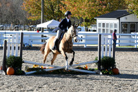 HSM_3017