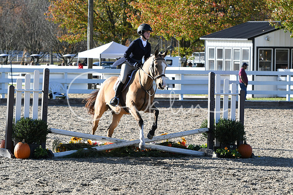HSM_3017