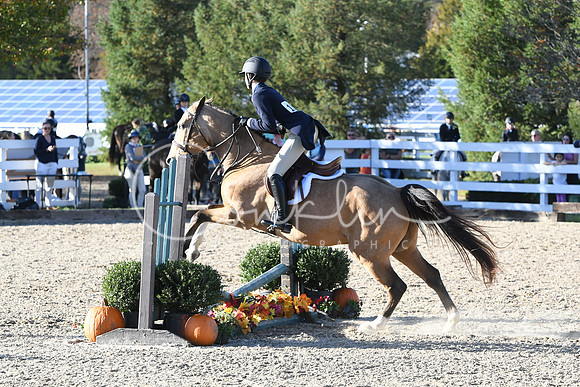 HSM_3018