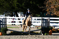 HSM_3019
