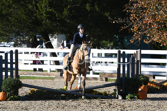 HSM_3019