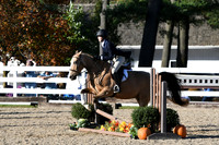 HSM_3021