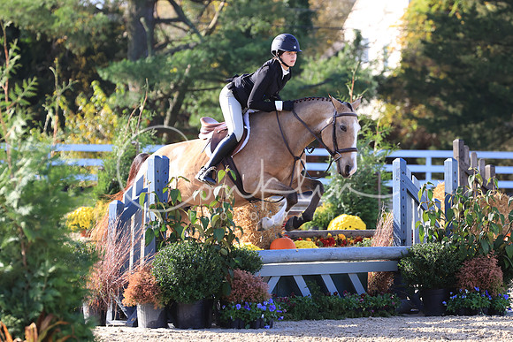 RJC37371