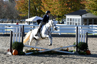 HSM_3008