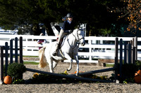HSM_3009