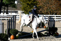 HSM_3011