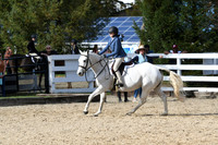 HSM_2431