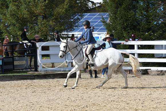 HSM_2431