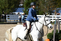 HSM_2433