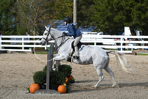 HSM_2436
