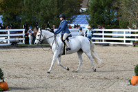 HSM_2438