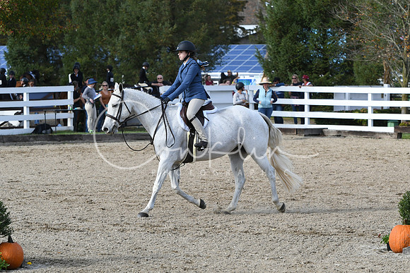 HSM_2438