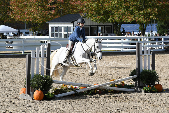 HSM_2511