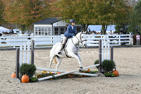 HSM_2582