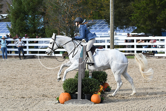 HSM_2587