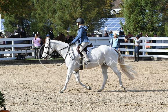 HSM_2589