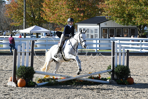 HSM_2893