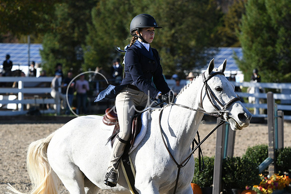 HSM_2894
