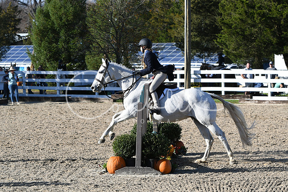 HSM_2897