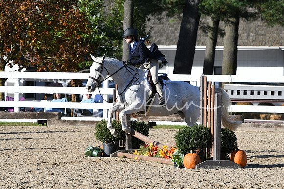 HSM_2901