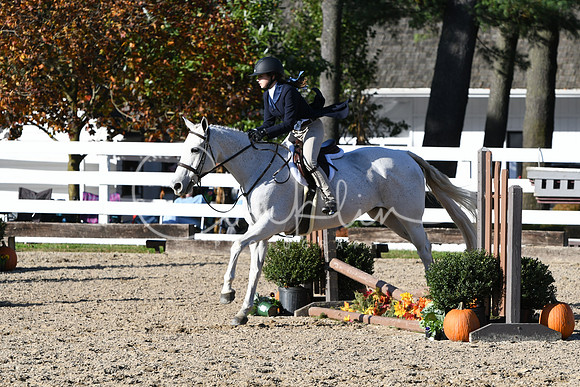 HSM_2902