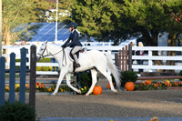 HSM_1028