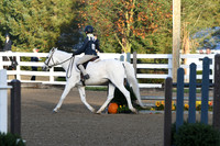 HSM_1029