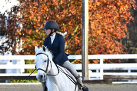 HSM_1060