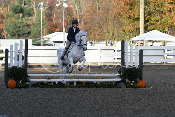 HSM_1061