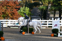 HSM_1105