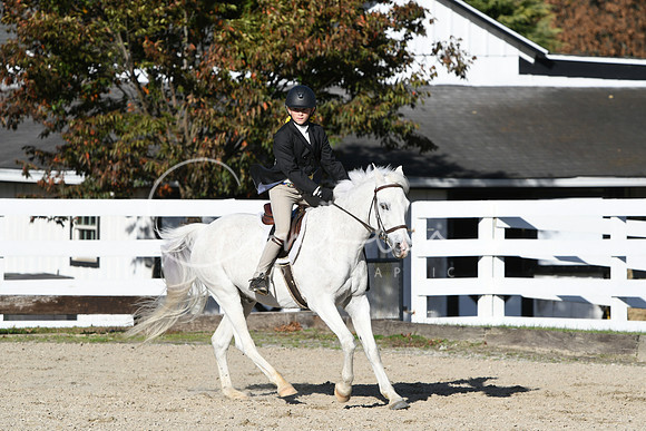 HSM_2872