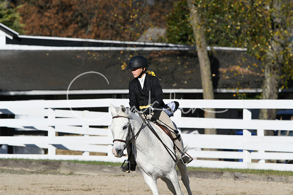 HSM_2873