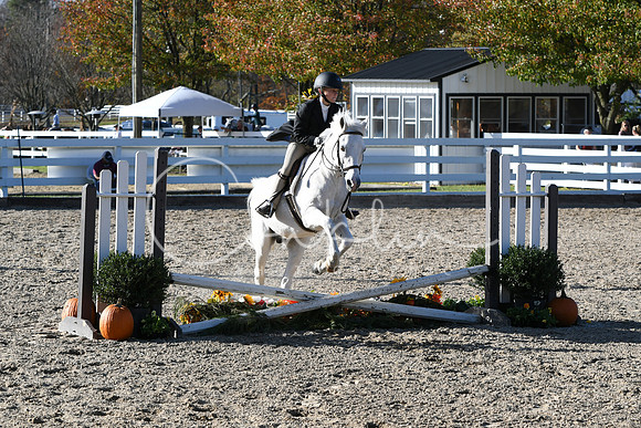 HSM_2876