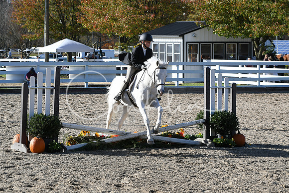 HSM_2877
