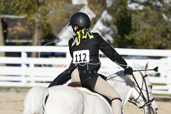 HSM_2879