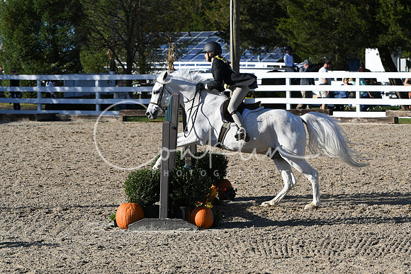 HSM_2881