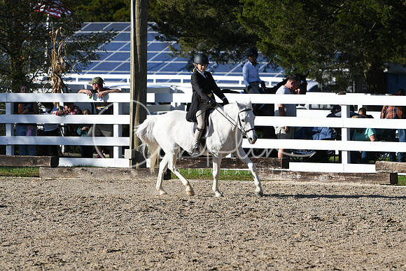 HSM_2887