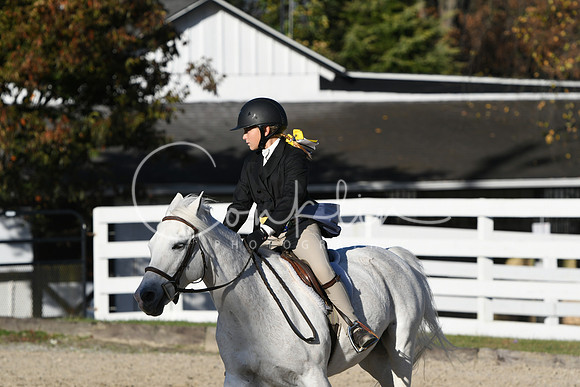 HSM_3055