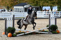 HSM_2474