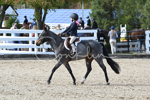 HSM_2551